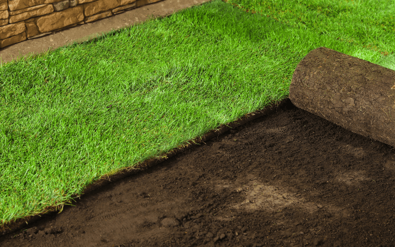 Sod Installation Services in Abington, PA