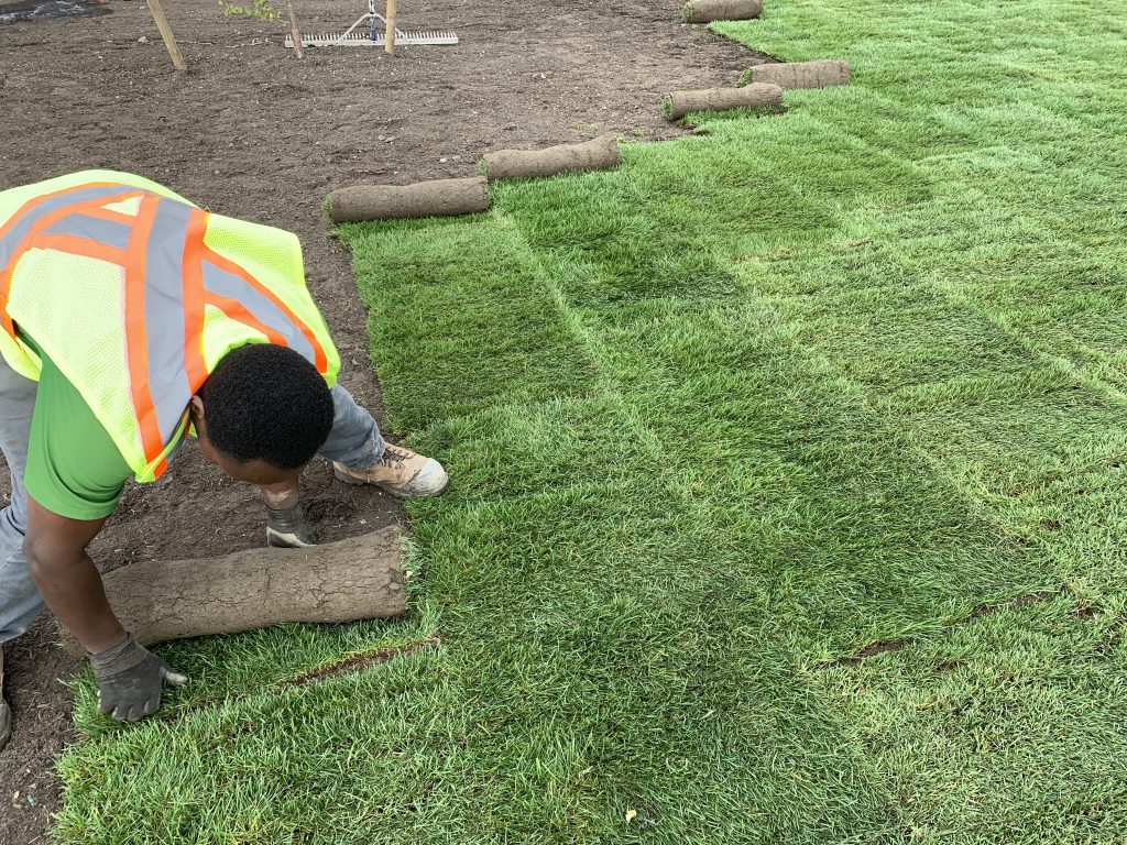Sod Installation project 1