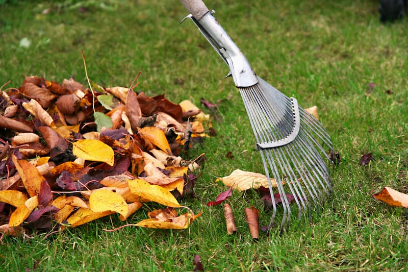 Leaf Removal in Glenside project 4
